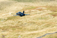 DSC08413_DxO