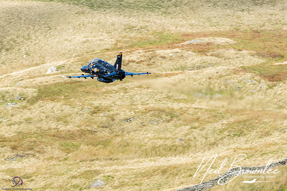 DSC08413_DxO