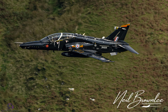 DSC08429_DxO-Edit
