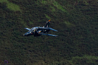 DSC08407_DxO-Edit