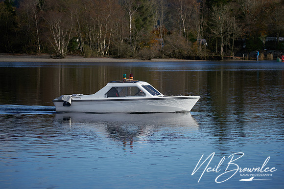 N_P03626