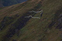 DSC00240_DxO