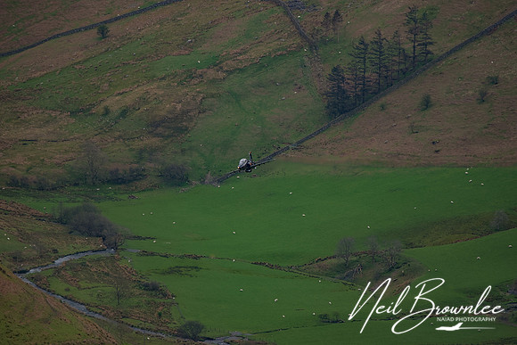 DSC00305_DxO