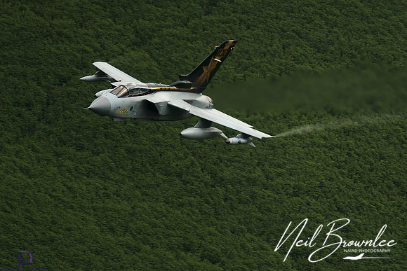 _DSC4573-Edit