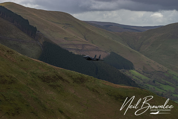 DSC00275_DxO