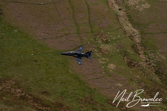 DSC00311_DxO