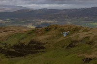 DSC00233_DxO