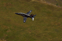 DSC08237