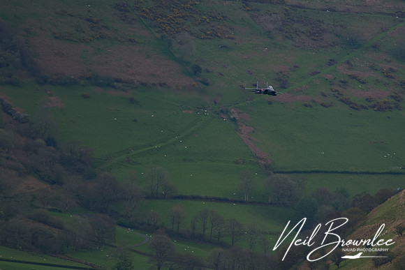 DSC00236_DxO