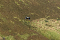 DSC08464_DxO