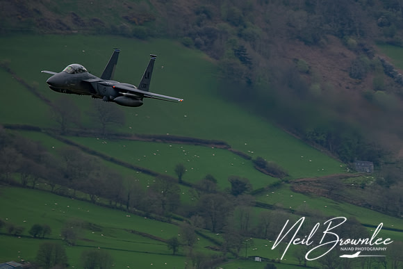 DSC00251_DxO