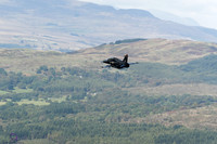 DSC08438_DxO