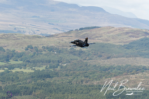 DSC08438_DxO
