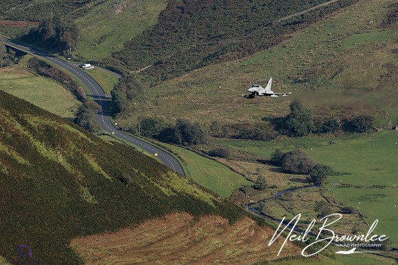 DSC08533_DxO