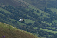 DSC08428_DxO
