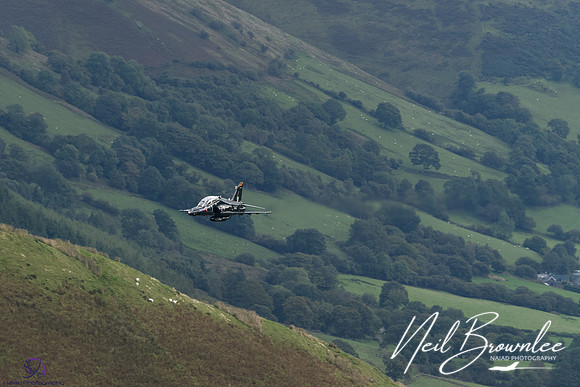 DSC08428_DxO