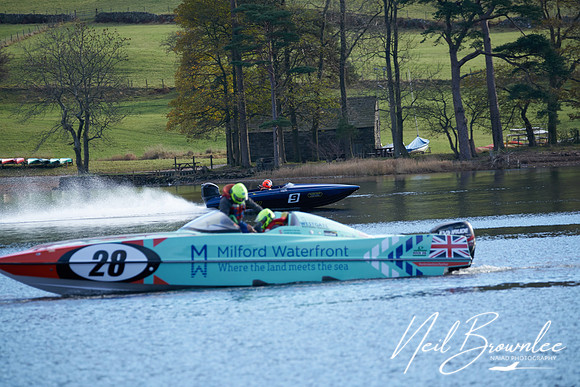 N_P03567
