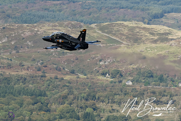 DSC08436_DxO