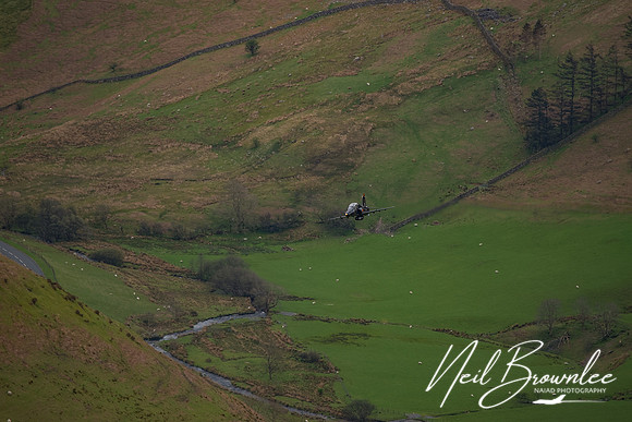 DSC00306_DxO