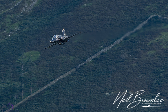 DSC08498_DxO