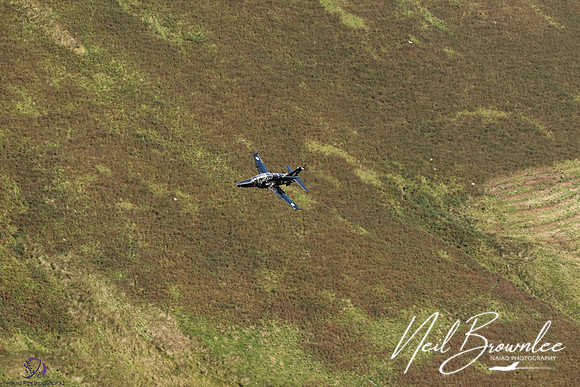 DSC08465_DxO