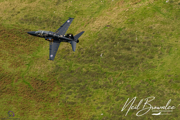 DSC08469_DxO-Edit