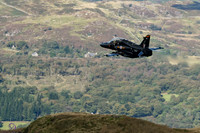DSC08435_DxO