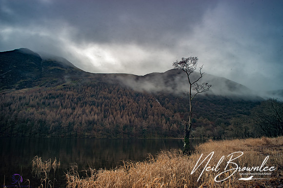 DSC00309_DxO-HDR-2