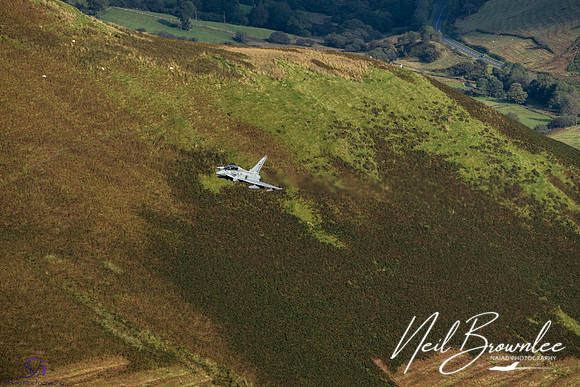 DSC08536_DxO