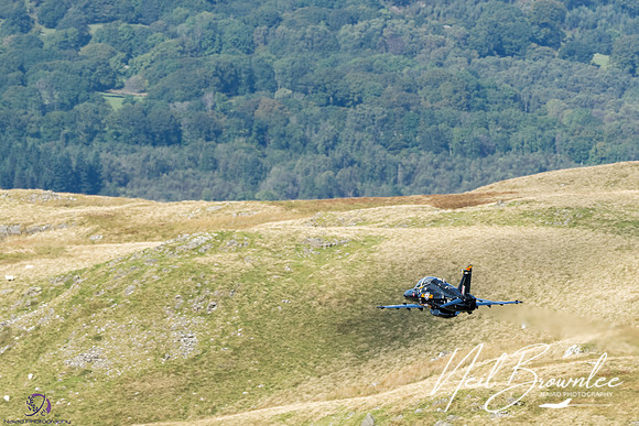 DSC08414_DxO