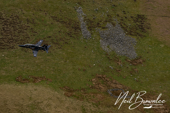 DSC00313_DxO