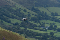 DSC08427_DxO