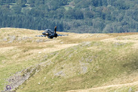 DSC08416_DxO