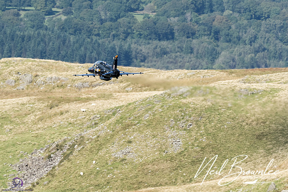 DSC08416_DxO